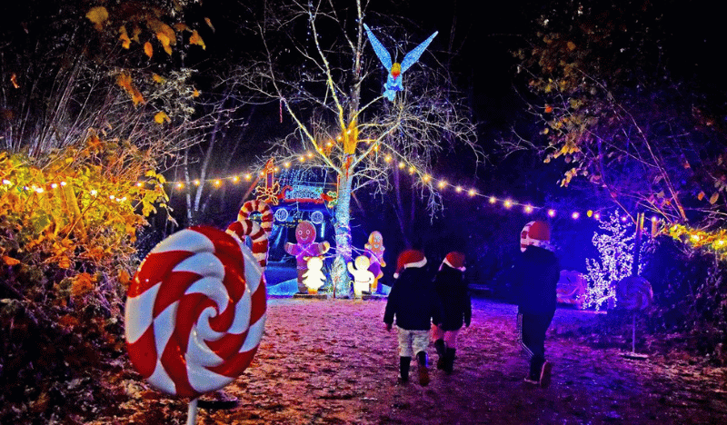 Conkers Winter Wonderland 2024